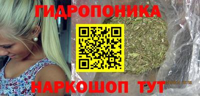 mdma Аргун