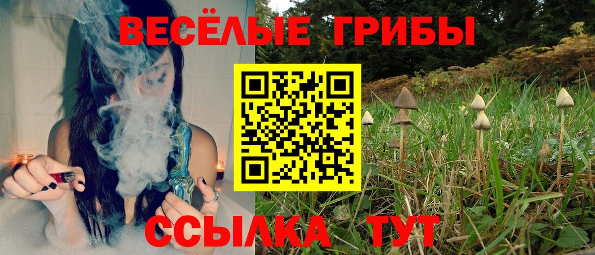 Ахтубинск  Галлюциногенные грибы MAGIC MUSHROOMS  Вход с VPN 